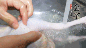 土雞處理干凈。（如果買不到土雞，一般的雞也是可以的，不過需要汆水。溫水下鍋汆燙7分鐘左右，汆燙時(shí)需要適時(shí)翻動(dòng)。汆燙雞肉是為了去掉生腥味，也是一次徹底清潔的過程，可以使燉出的湯清爽而不渾濁，鮮香而無異味）