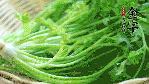 挑選鮮嫩的香菜，洗干凈后，處理成小段。