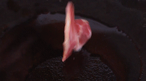 鍋中倒入橄欖油燒熱，放入淡火腿小火煸炒至打卷狀態(tài)。