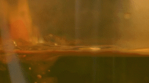 雞肉、鹽、料酒入冷水鍋水開后撇去浮沫，溫水洗凈。