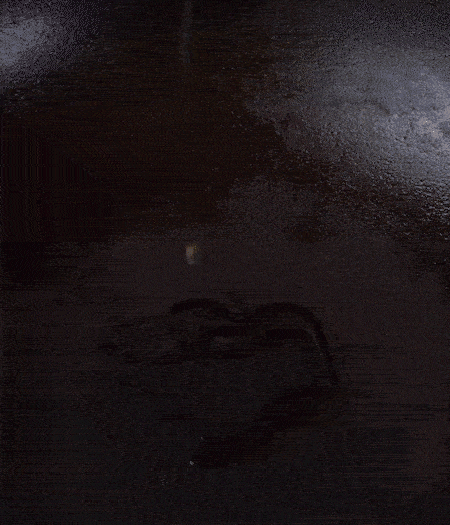 冷鍋熱油，下蒜片爆香，下香腸、玉米筍、蓮藕、西芹爆炒，期間加點水，翻炒1分鐘后加新鮮百合片，翻炒30秒。