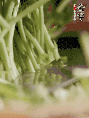 新鮮豌豆苗割下洗凈。